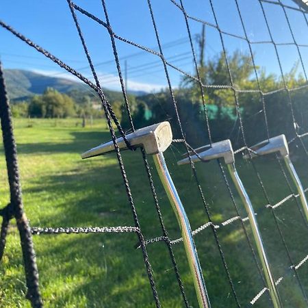 Apartament Quinta Do Alagao Coja Zewnętrze zdjęcie
